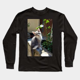 Gorgeous Stray Kitten Long Sleeve T-Shirt